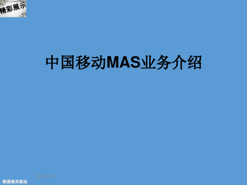 中国移动MAS业务介绍