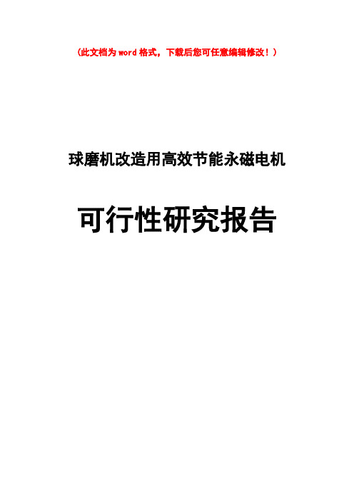 (最新版)球磨机改造用高效节能永磁电机项目可行性研究报告