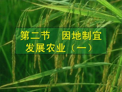 4.2 因地制宜发展农业(共34张PPT) 课件3  (人教版八年级上)