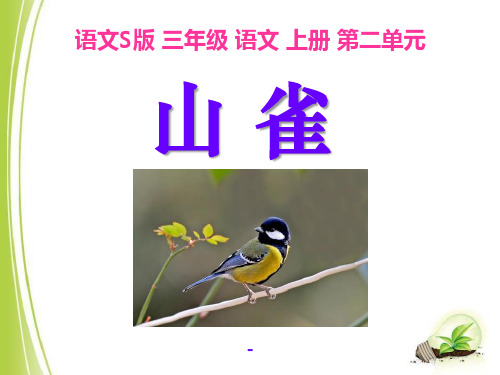 语文S版语文三上《山雀》ppt-课件1