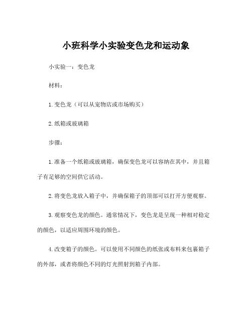 小班科学小实验变色龙和运动象