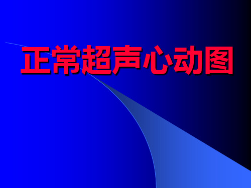 正常超声心动图