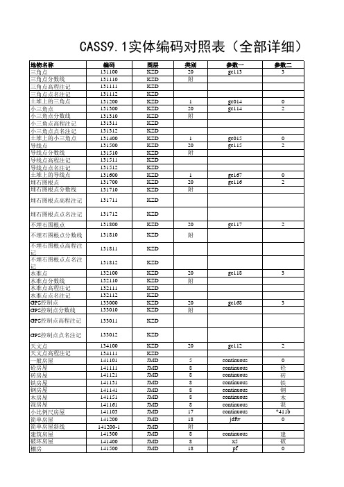 CASS91实体编码对照表全部详细