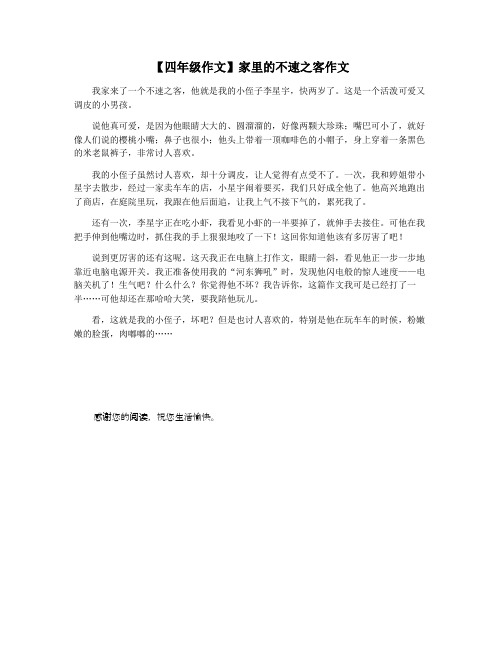 【四年级作文】家里的不速之客作文