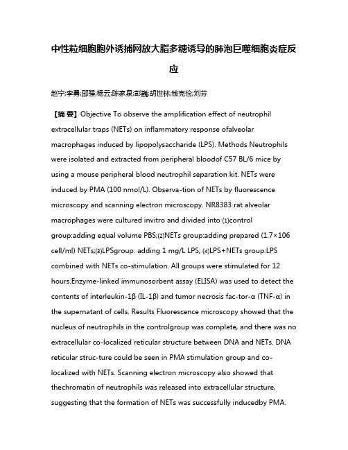 中性粒细胞胞外诱捕网放大脂多糖诱导的肺泡巨噬细胞炎症反应