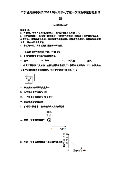 广东省河源市名校2025届九年级化学第一学期期中达标检测试题含解析