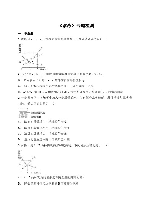 人教版初中化学中考复习专题《溶液》专题检测(有答案含解析)