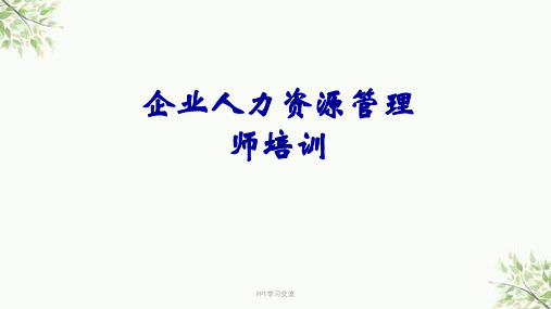 人力资源管理师第一章人力资源规划课件