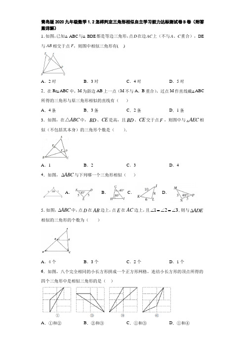 青岛版2020九年级数学1.2怎样判定三角形相似自主学习能力达标测试卷B卷(附答案详解)