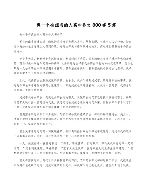 做一个有担当的人高中作文800字5篇