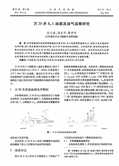 万20井K2h油源及油气运移研究