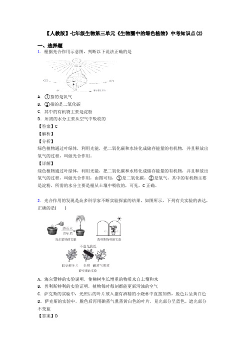 【人教版】七年级生物第三单元《生物圈中的绿色植物》中考知识点(2)