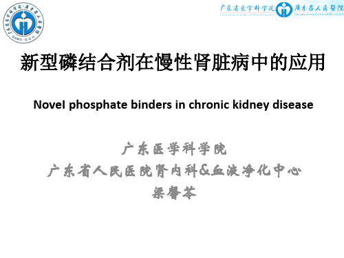 新型磷结合剂在慢性肾脏病中的应用