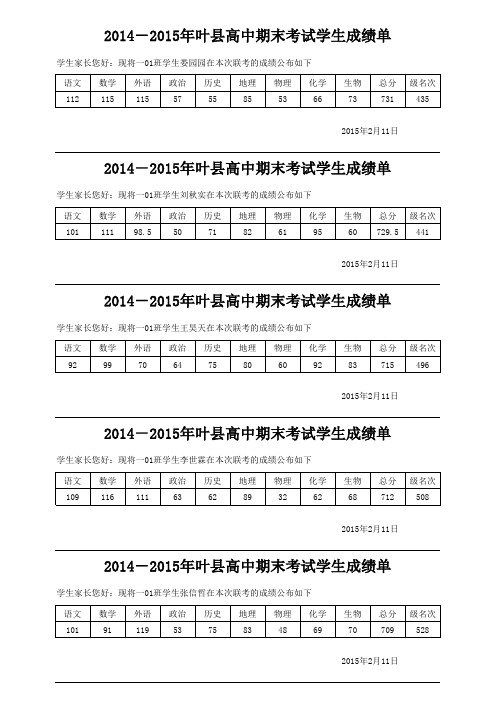 叶县高中高一期末成绩单