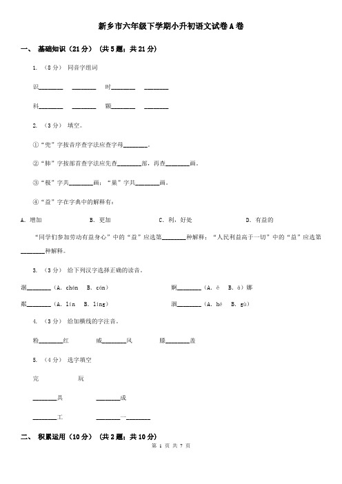 新乡市六年级下学期小升初语文试卷A卷