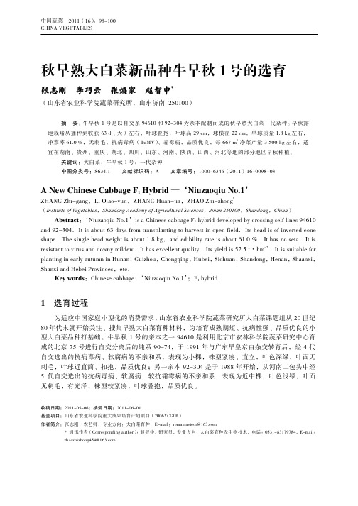 秋早熟大白菜新品种牛早秋1号的选育