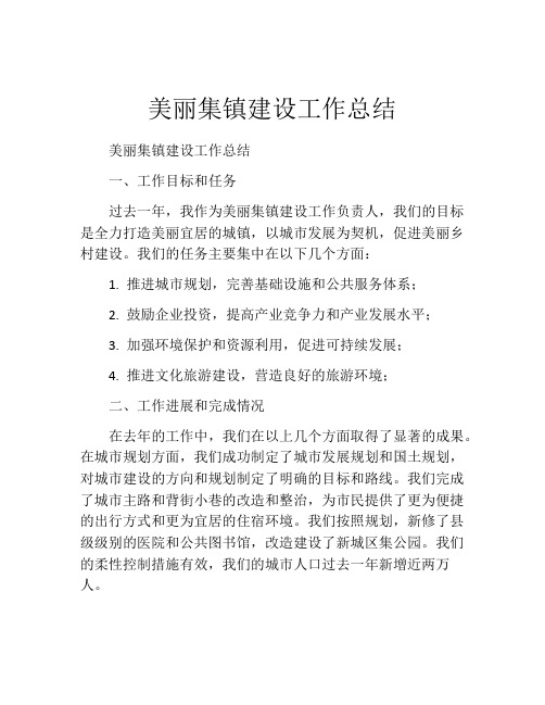 美丽集镇建设工作总结