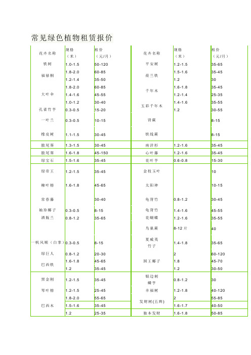 常见绿色植物租赁报价