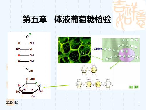 第六章体液葡萄糖检验