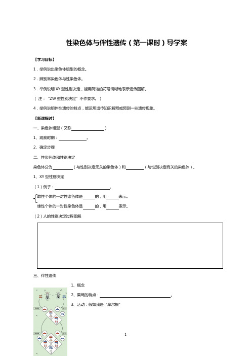 高中生物性染色体与伴性遗传(第1课时)导学案
