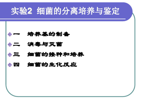 实验2 细菌的分离培养与鉴定