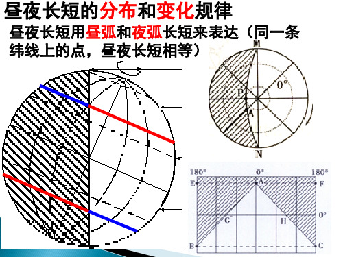 昼夜长短分布变化规律