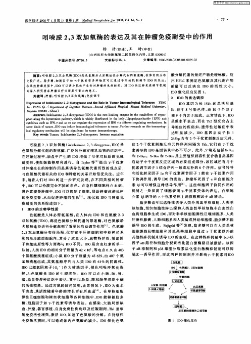 吲哚胺2,3双加氧酶的表达及其在肿瘤免疫耐受中的作用