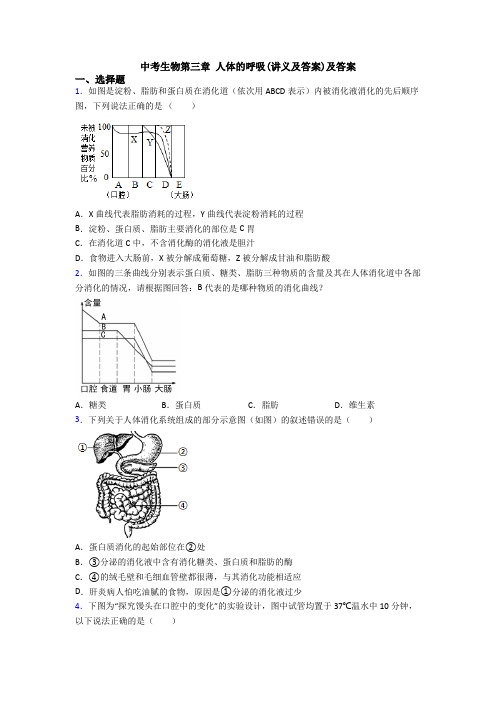 中考生物第三章 人体的呼吸(讲义及答案)及答案