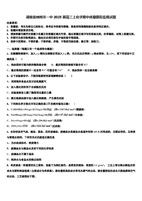 湖南省郴州市一中2025届高三上化学期中质量跟踪监视试题含解析