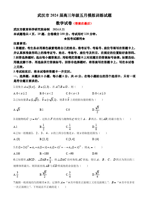 湖北省武汉市2024届高三下学期5月模拟训练数学试卷含答案