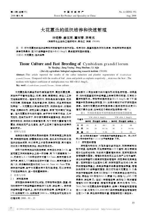 大花蕙兰的组织培养和快速繁殖