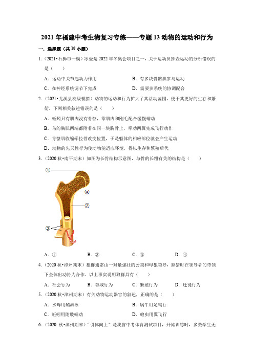 2021年福建省中考生物复习专练——专题13动物的运动和行为     解析版