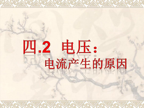 九年级物理上册教科版42电压第二课时