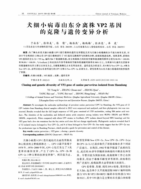 犬细小病毒山东分离株VP2基因的克隆与遗传变异分析