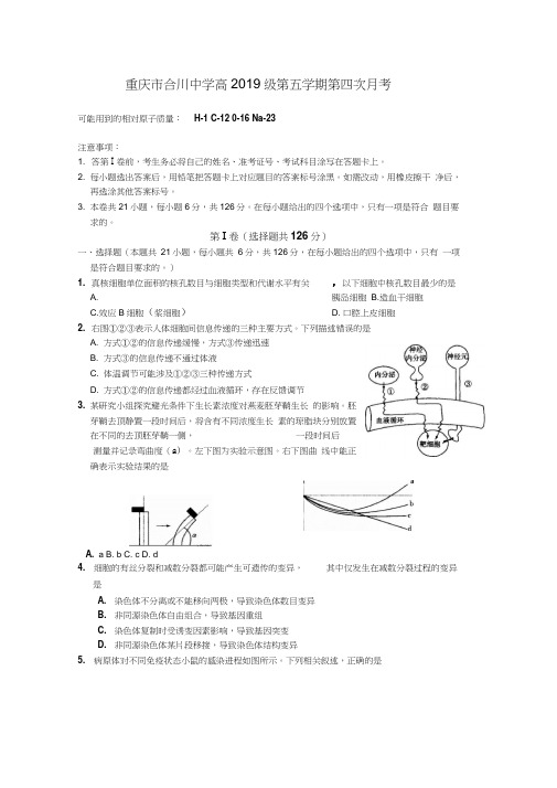 重庆市合川中学2019届高三第四次月考(理综)