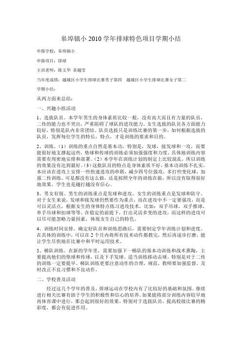 2009学年排球特色项目工作总结