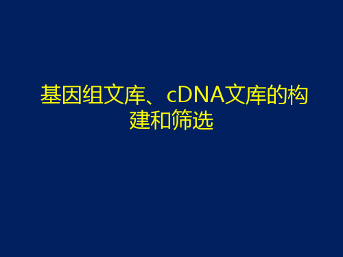 基因组文库、cDNA文库的构建和筛选