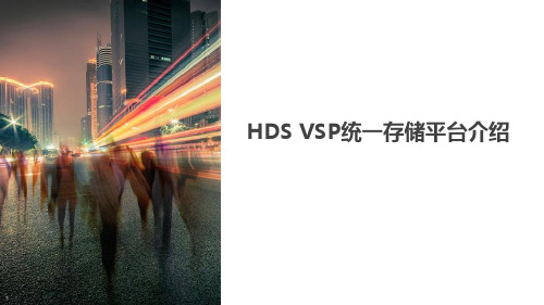 HDS VSP统一存储平台介绍