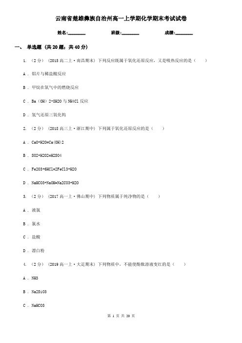 云南省楚雄彝族自治州高一上学期化学期末考试试卷