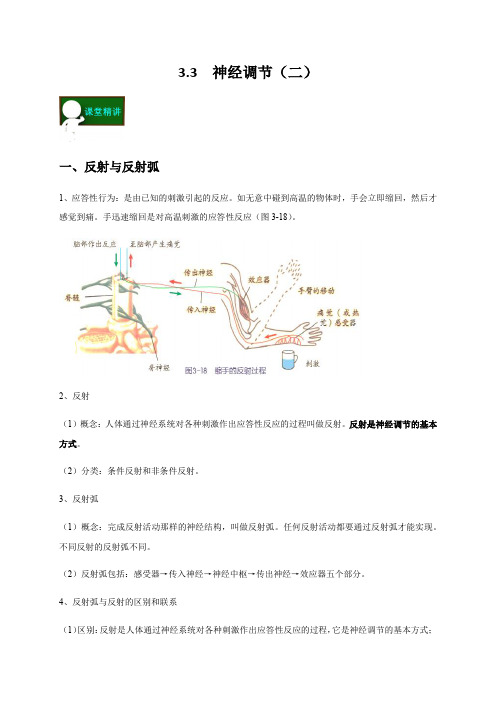 3.3  神经调节(二)—浙教版八年级科学上册讲义