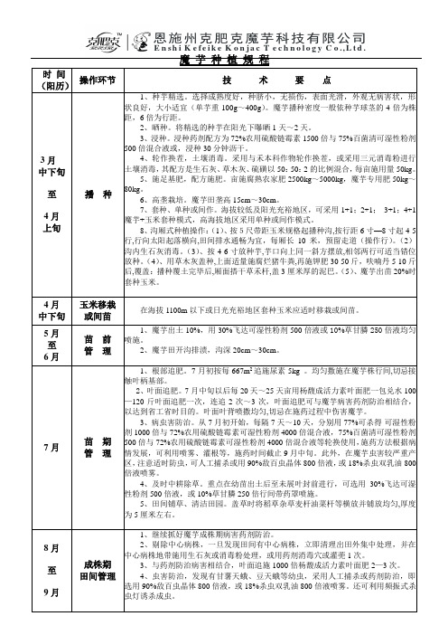 魔芋种植规程