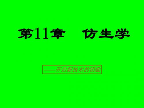 仿生学的应用科学 共63页PPT资料