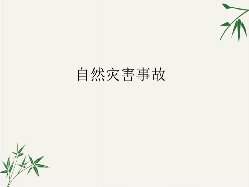 防雷电、暴雨、洪灾主题班会30张