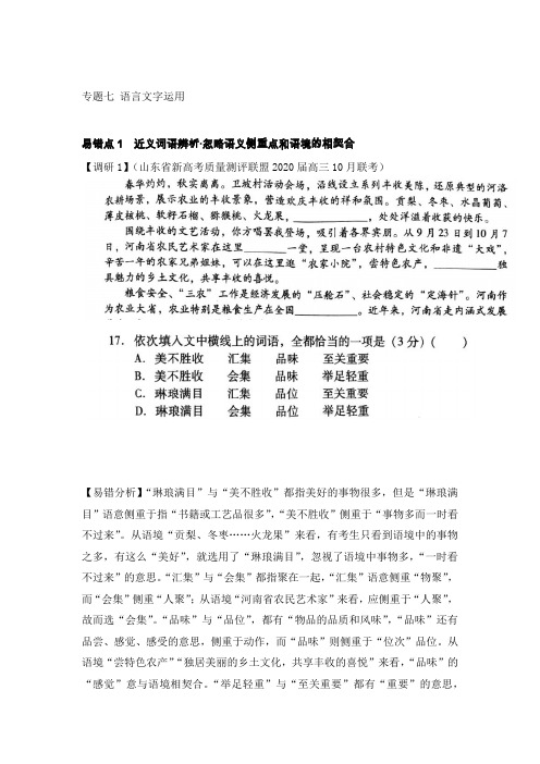 专题七 语言文字运用易错点精讲