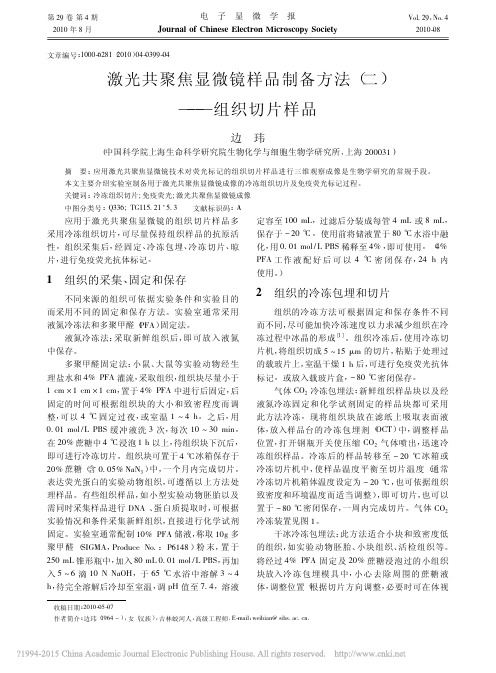 激光共聚焦显微镜样品制备方法_二_组织切片样品_边玮