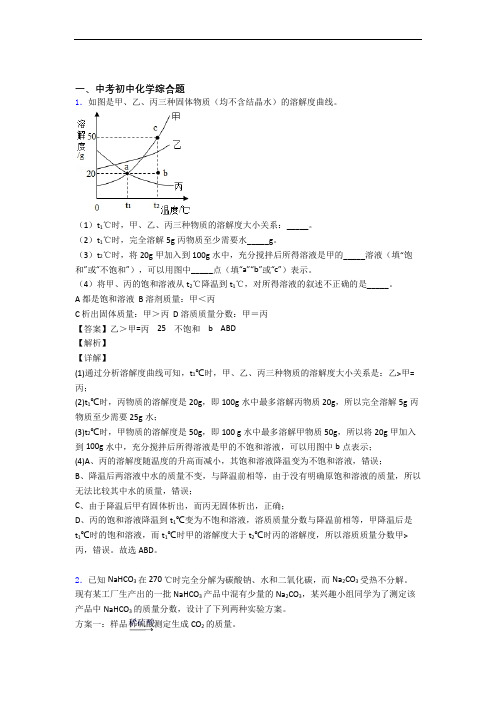 2020-2021备战中考化学 综合题 培优 易错 难题练习(含答案)含答案