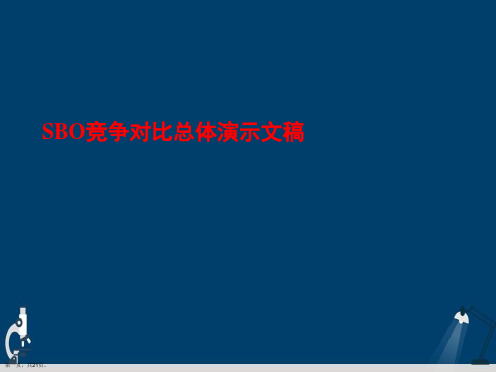 SBO竞争对比总体演示文稿