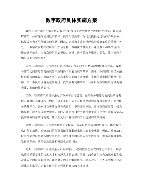 数字政府具体实施方案