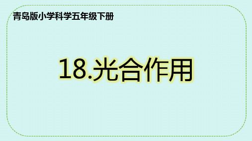 五年级科学下册青岛版第18课《光合作用》课件