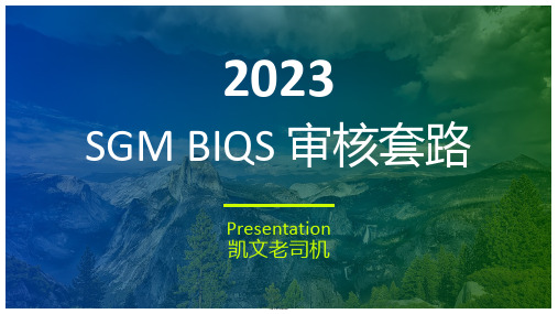 SGM BIQS 审核套路